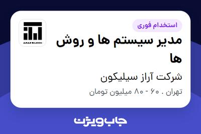  استخدام مدیر سیستم ها و روش ها در شرکت آراز سیلیکون