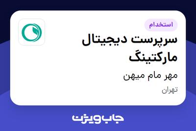  استخدام سرپرست دیجیتال مارکتینگ - خانم در مهر مام میهن