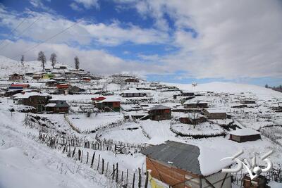 بارش برف در بام کویر ایران | ببینید - مجله اینترنتی کولاک