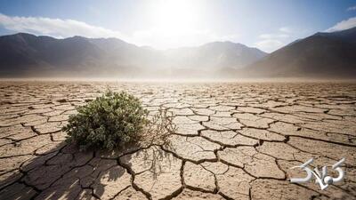 راهکار نهایی برای خشکسالی؛ پایان دغدغه کشاورزان | این ژن تمام معادله را برهم می‌زند - مجله اینترنتی کولاک