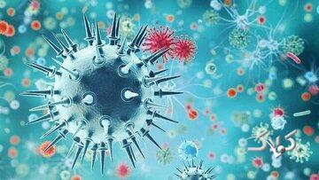 آنفلوآنزا در این ۸ استان بالاتر از حد هشدار/ آمار فوتی‌ها از ابتدای موج امسال تاکنون - مجله اینترنتی کولاک