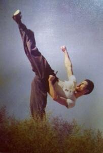 بیوگرافی دانیال حکیمی - مجله اینترنتی کولاک