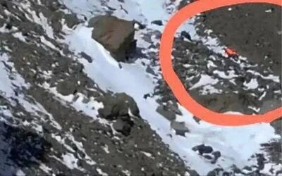 پیکر طاهره حاصلی در دماوند پیدا شد - مجله اینترنتی کولاک