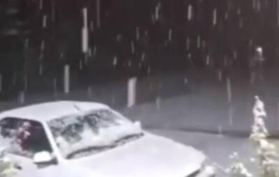 فیلم/ شیراز سفیدپوش شد