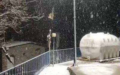 فیلم/ بارش زیبای برف در رفسنجان