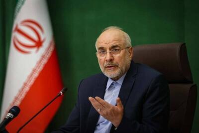 فیلم/ یکی از دلایل بر طرف نشدن مشکلات از زبان رئیس مجلس