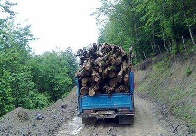  کشف ۳۰ تُن چوب قاچاق در برخوار