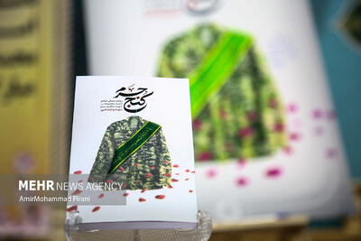 از سایه ضریح معصومه تا روشنایی نبرد زینبیه