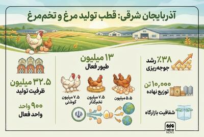  اینفوگرافیک؛ رشد تولید مرغ در آذربایجان شرقی به روایت آمار
