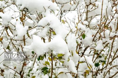  برف و باران همه کشور را فرا می‌گیرد