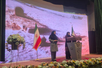 مهاجرانی: قیمت کارت جایگاه سوخت به 5 هزار تومان افزایش یافت