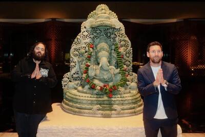 زل زدن GOAT به شیر؛ لیونل مسی در سرزمین حیات وحش هند هم‌نام پیدا کرد! / عکس - پارس فوتبال