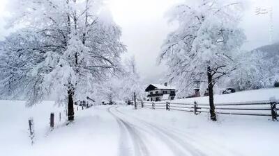  یخبندان ۴۵ درجه زیر صفر در یاکوتسک؛ سردترین شهر بزرگ جهان همچنان در جریان زندگی+فیلم