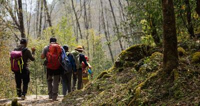 الگوهای مدیریتی نوین در توسعه طبیعت‌گردی