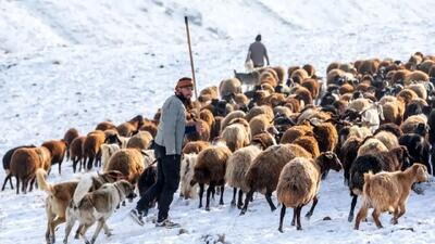 جذاب‌ ترین لحظات زمستانی سهند در قاب تصاویر