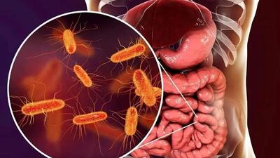 چگونه یک ماده مغذی می‌ تواند روده‌ های شما را در برابر دیابت محافظت کند؟