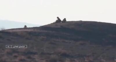 مشاهده ۶ یوزپلنگ در میاندشت خراسان شمالی