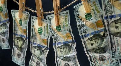 جزئیات پرونده پولشویی در بازار ارز از زبان سخنگوی بانک مرکزی - سرمایه و بورس