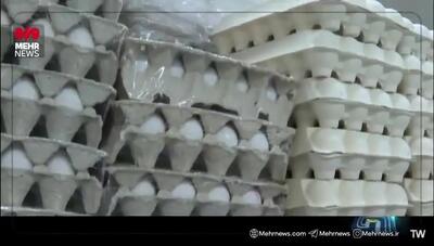 علت گرانی تخم مرغ چه بود؟+ ویدئو