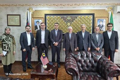 توکل‌پور: ضرورت افزایش همکاری‌های بین‌المللی دانشگاه‌های ایران با جنوب شرق آسیا