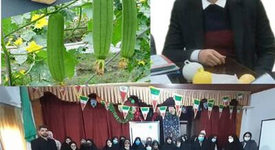 توسعه کشت لوفا با تضمین خرید و انتقال دانش فنی