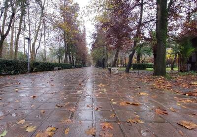 هشدار نارنجی در گیلان؛ بارش‌های شدید، سیلابی شدن رودخانه‌ها و یخبندان در راه است - تسنیم