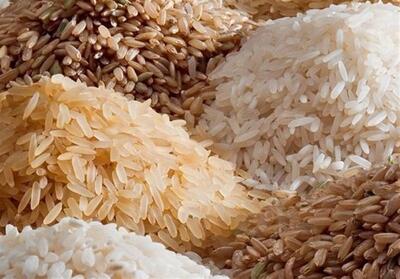 گفت‌وگو |توزیع 1800 تن برنج هندی تنظیم بازاری در خراسان رضوی/برنج پاکستانی تا 2 هفته آینده - تسنیم