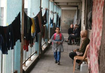 رسانه عبری: اطرافیان ترامپ به دنبال سهم خواهی از منافع بازسازی غزه هستند - تسنیم