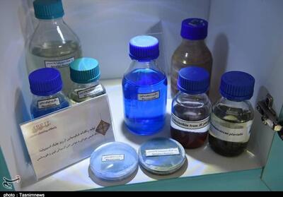 دانشگاه در برابر چالش تغییر اقلیم/ چگونه پژوهش به حل چالش‌ها کمک می‌کند؟ - تسنیم