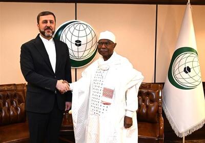 غریب‌آبادی از برگزاری کنفرانس «جنبش جهانی حمایت از خانواده» در ایران خبر داد - تسنیم