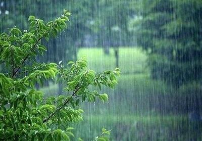 آزمون باران در خلیج فارس؛ جزایر هرمزگان با بارش‌های ممتد و آماده‌باش تمام‌عیار - تسنیم