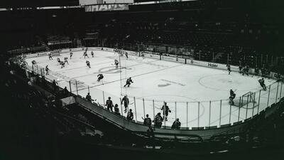 ترند «آکواریوم پسرانه- boy aquariums» در تیک‌تاک چیست؟