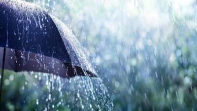  بارش رحمت الهی در سراسر استان کرمان؛ نویدی برای کشاورزان و طراوت زمین‌ها + فیلم و عکس