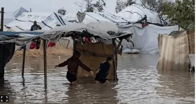 ۱۳ کودک در چادرهای غزه یخ زدند