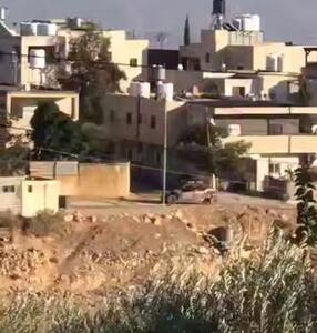  بازداشت جوان فلسطینی و سرقت خودرو وی در شرق بیت لحم