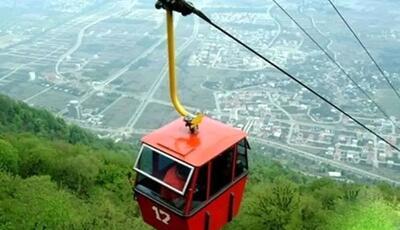 شینا انصاری: به دلایل فنی و قانونی با تله‌کابین درجنگل‌ ناهارخوران مخالفیم