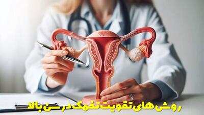  روش های تقویت تخمک در سن بالا | برای تقویت تخمدان و بارداری سریع چه بخوریم؟