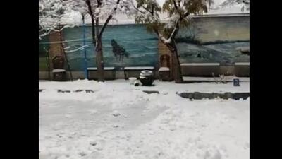  بارش زیبای برف در اراک