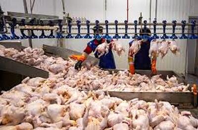 ناگهان قیمت مرغ در تهران پر کشید!