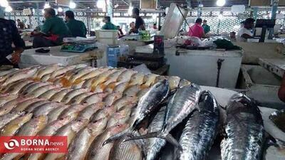 اعلام قیمت انواع آبزیان در میادین و بازار‌های میوه و تره بار