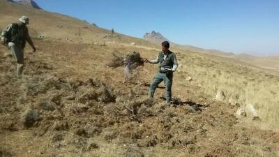  ۵.۷ هکتار از اراضی ملی در حاشیه منطقه حفاظت‌شده شیدا چهارمحال و بختیاری رفع تصرف شد