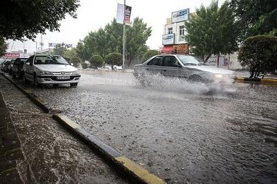  مدیرکل هواشناسی بوشهر از رکورد بارندگی در استان خبر داد