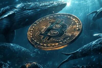 انباشت بی‌سابقه نهنگ‌های متوسط بیت‌کوین؛ سریع‌ترین روند خرید از سال ۲۰۱۲