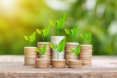 اقدام حقوقی بمیلا برای شفاف‌سازی ارزش دارایی‌ها و احقاق حقوق سهامداران