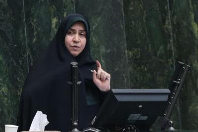 مقصودی: دولت برنامه‌ای برای کنترل نرخ ارز و طلا ندارد/ ضعف مفرط تیم اقتصادی