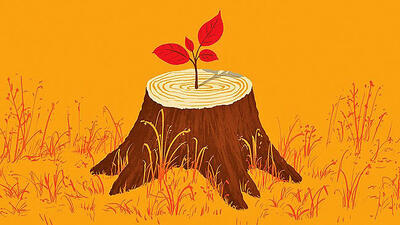 وقتی شرکت‌ها راهشان را گم می‌کنند