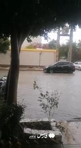 نفوذ سامانه بارشی به قلب استان بوشهر؛ معابر شهری زیر آب رفتند