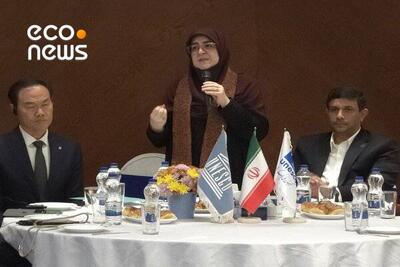 پذیرش تفاوت‌ها و توانمندسازی زنان دارای معلولیت - اکونیوز