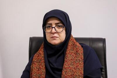 مهاجرانی: برای مذاکرات جدی، واقعی و شرافتمندانه آماده‌ایم / دولت با قانون مهریه مخالف است