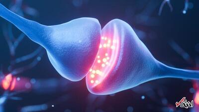 تصویربرداری مغزی «شوک و انجماد» می‌تواند رازهای بیماری پارکینسون را آشکار کند